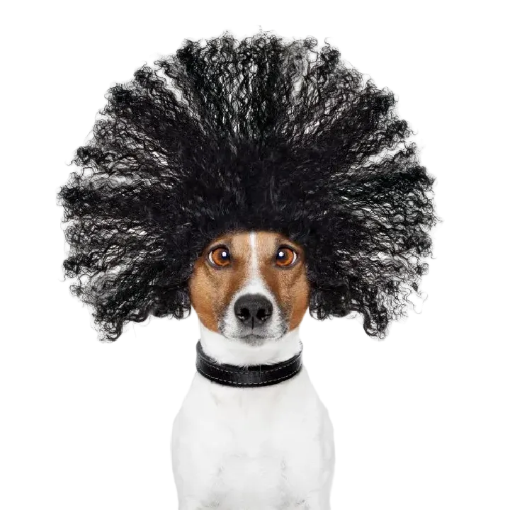 The Benefits of Everflon™+ FEP and PFA Conductive Polymers