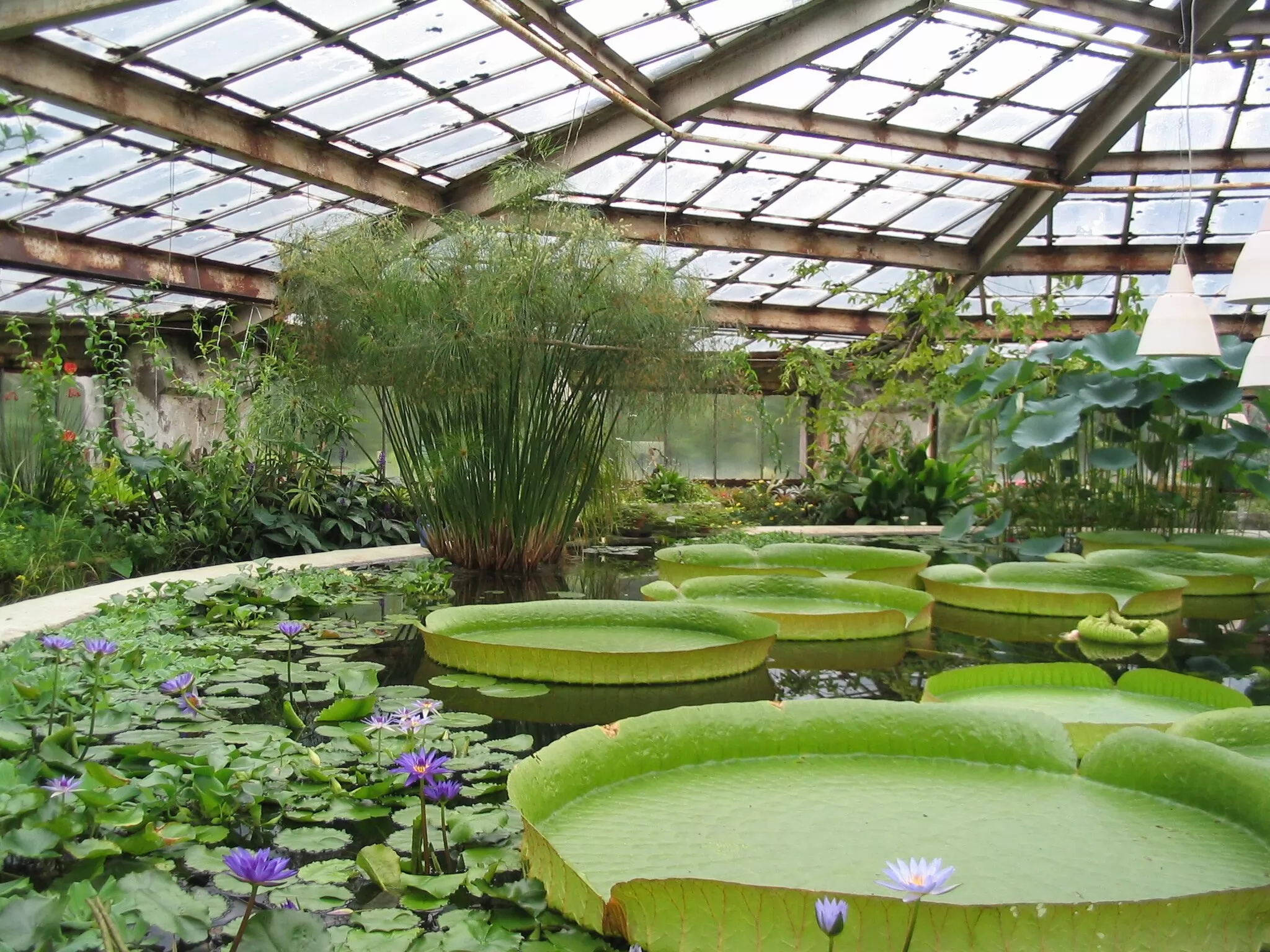 Revolutionizing Agriculture: Why Everflon™ ETFE Resin is the Ultimate Greenhouse Choice