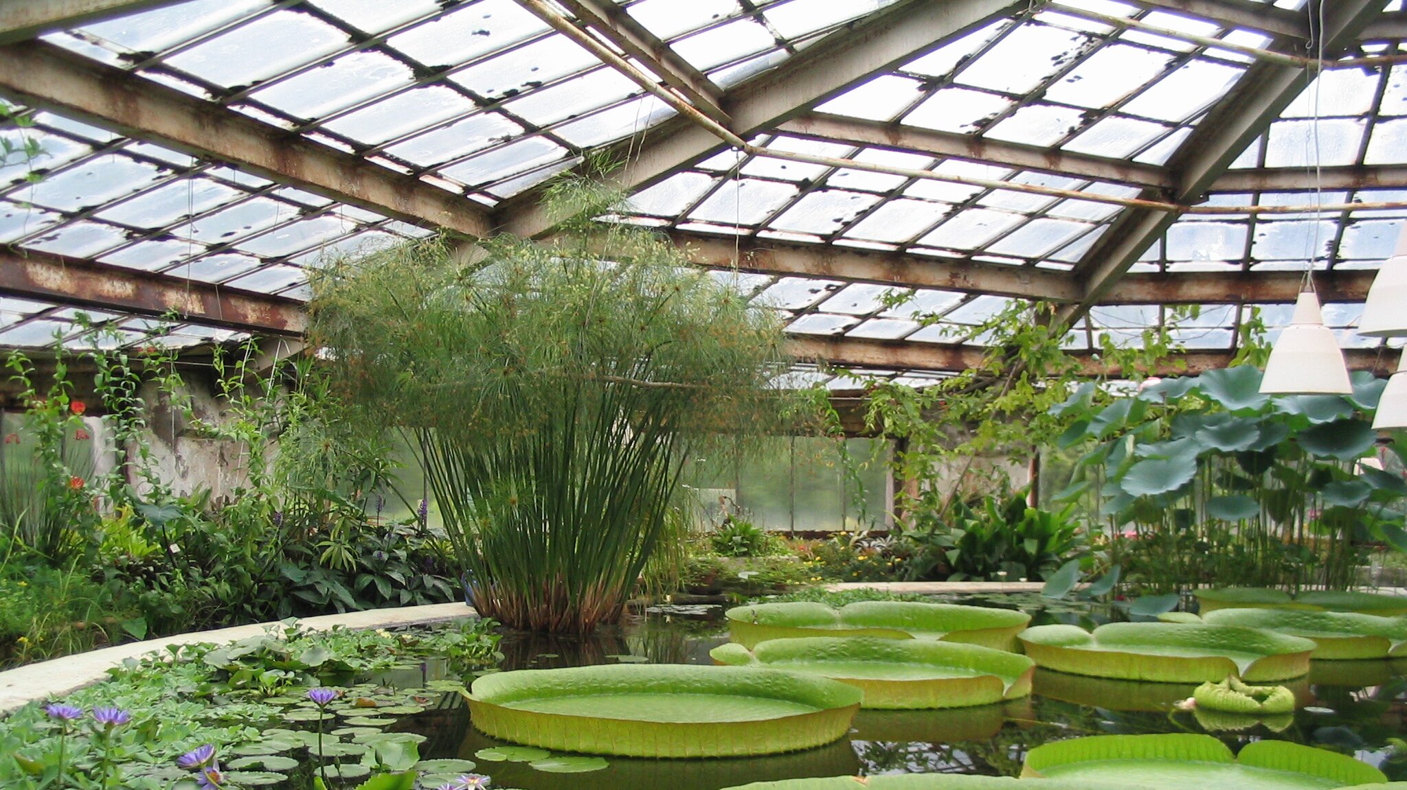 Revolutionizing Agriculture: Why Everflon™ ETFE Resin is the Ultimate Greenhouse Choice